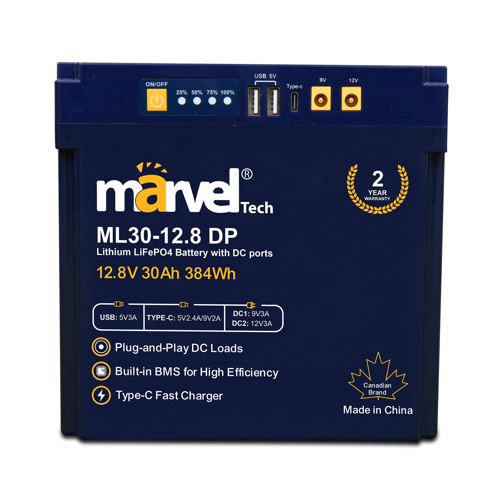 بطارية ليثيوم ML30-12.8V - الصورة 4