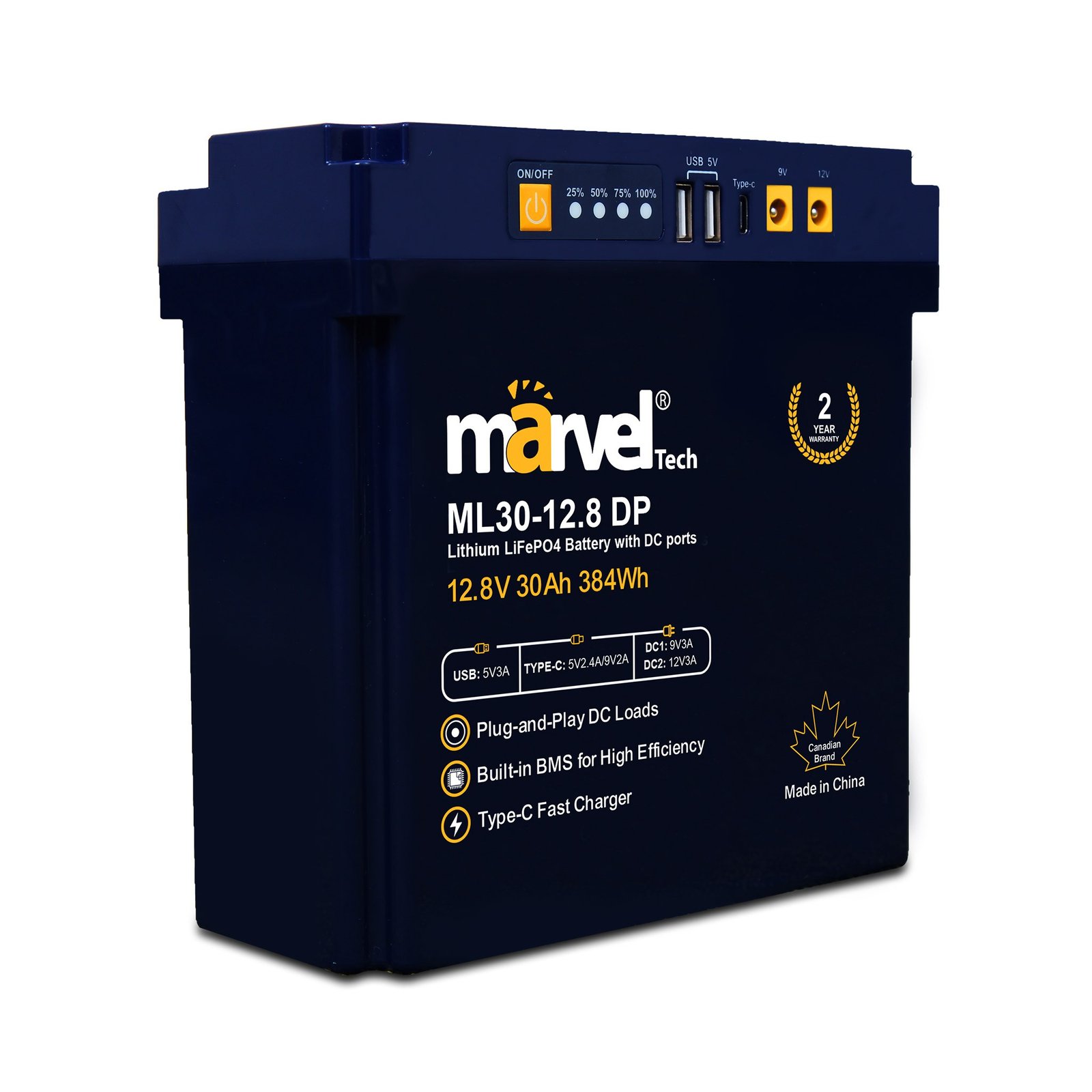 بطارية ليثيوم ML30-12.8V - الصورة 3